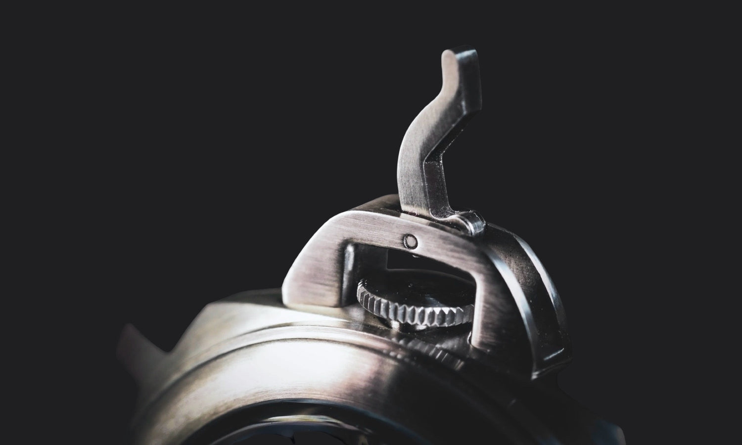 Crown protection and locking device of Gruppo Gamma Vanguard 